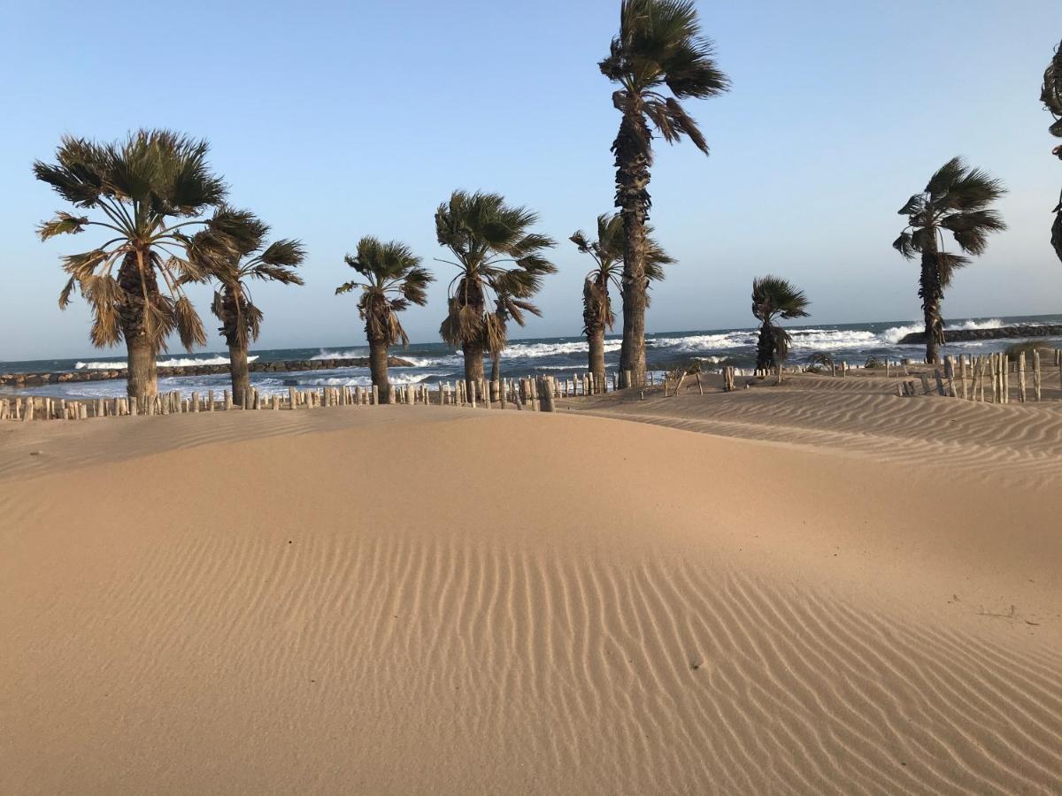 Apartment Newly Renovated Aircond-Wifi-Pool-Sea View-150M To Beaches- Saint Aygulf Kültér fotó